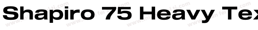 Shapiro 75 Heavy Tex字体转换